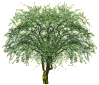 Logo Baum